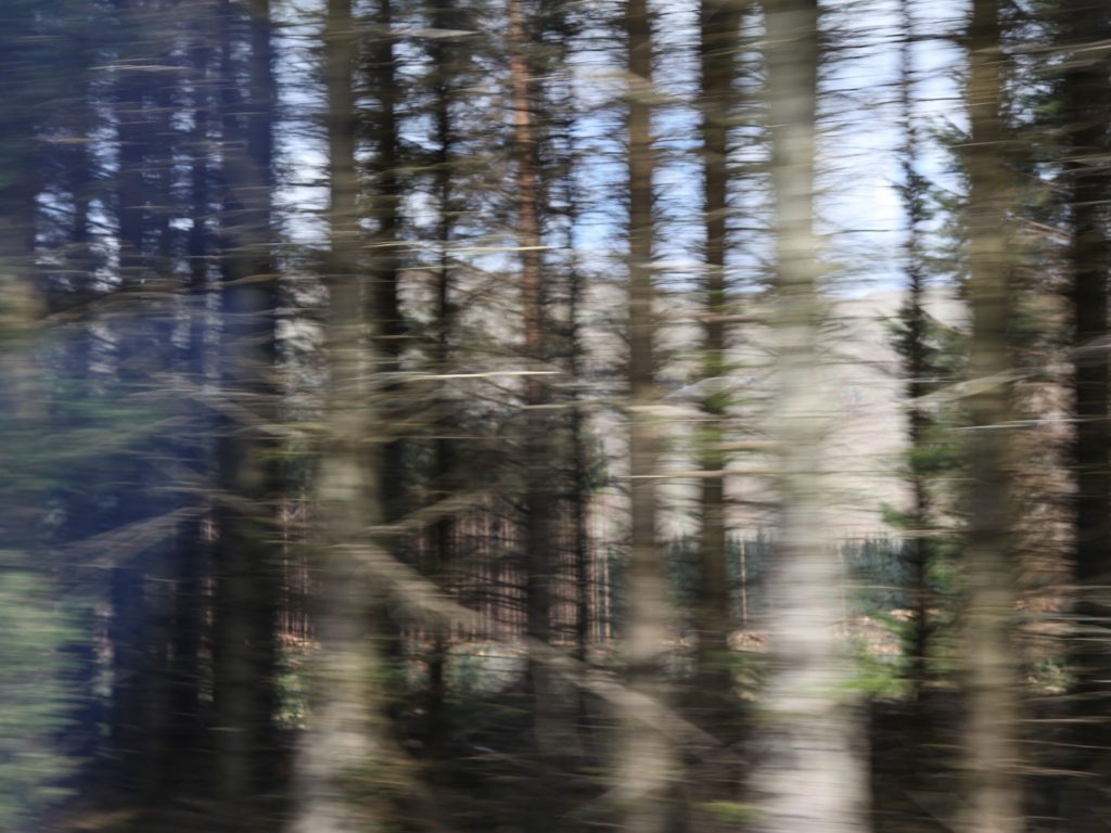 Kiki photo - Ireland