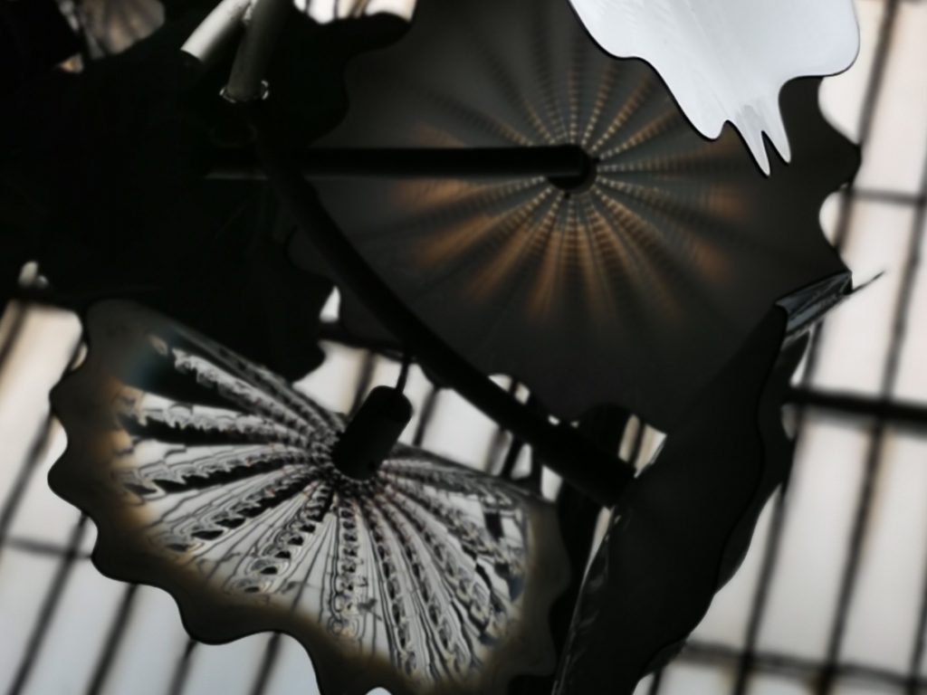 website - filmmaking workshop - kiki photo